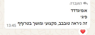 תגובה על הפרויקט 1