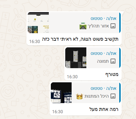 תגובה על הפרויקט 3