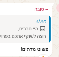 תגובה על הפרויקט 8