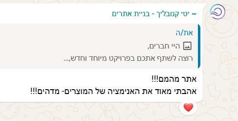 תגובה על הפרויקט 10