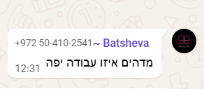 תגובה על הפרויקט 12