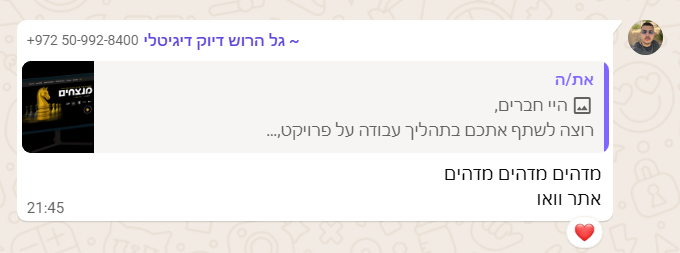 תגובה על הפרויקט 8
