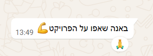 תגובה על הפרויקט 4